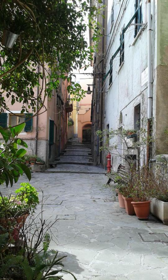 Il Nido Delle Taccole Appartement Fezzano  Buitenkant foto